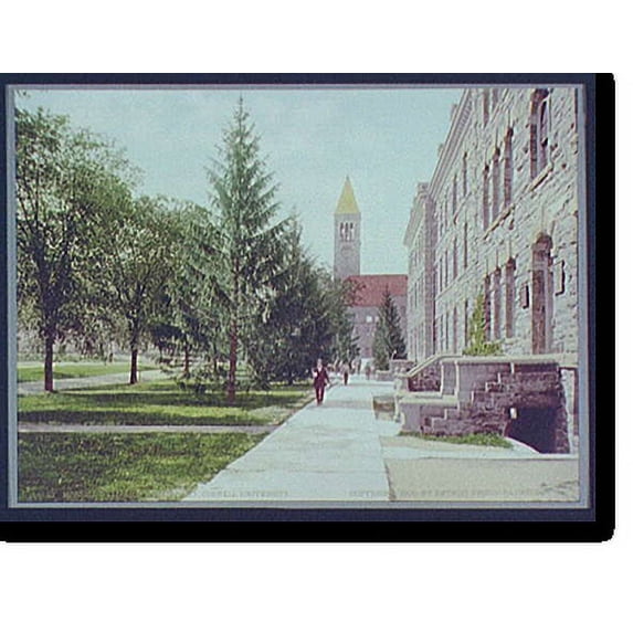 Historic Print, Morrill Hall and the Library, Cornell University - 2, 16" x 20"