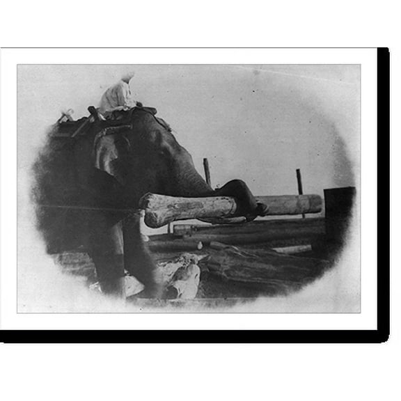 Historic Print, Moulmein, Burma - elephant loading teak, 18" x 24"