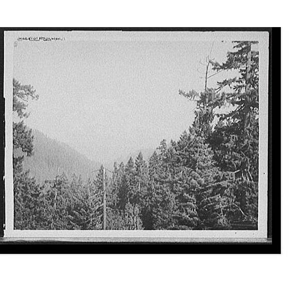Historic Print, Mount Rainier, Wash., 16" x 20"