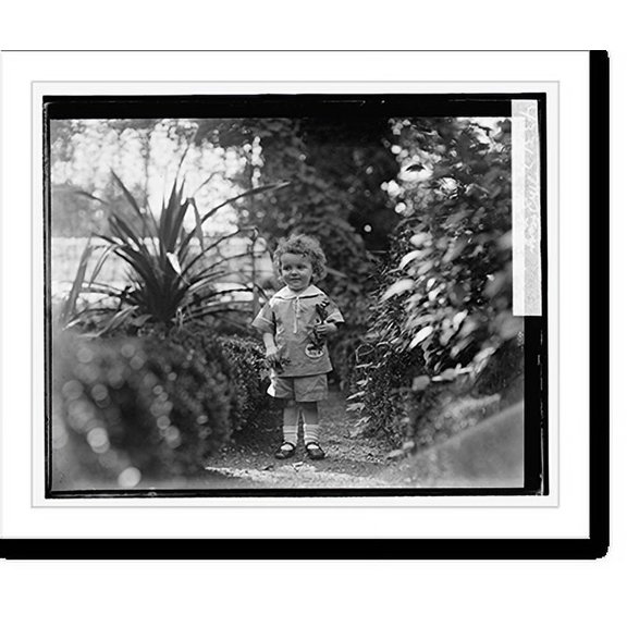 Historic Print, Mr. Hesse, Bot. Gardens - 2, 16" x 20"