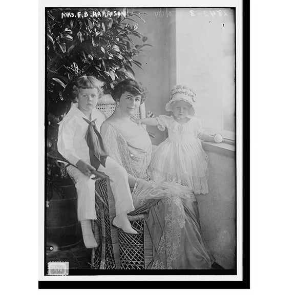 Historic Print, Mrs. F.B. Harrison - 2, 16" x 20"
