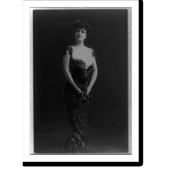 Historic Print, Mrs. George Jay Gould - 3, 18" x 24"