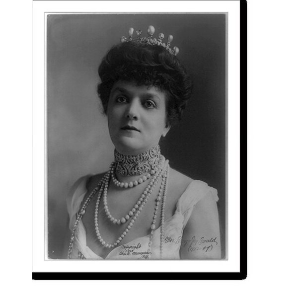 Historic Print, Mrs. George Jay Gould - 4, 16" x 20"