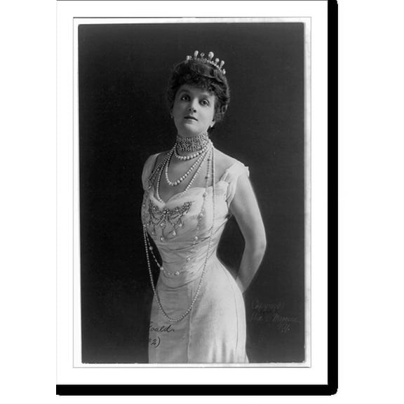 Historic Print, Mrs. George Jay Gould - 7, 18" x 24"