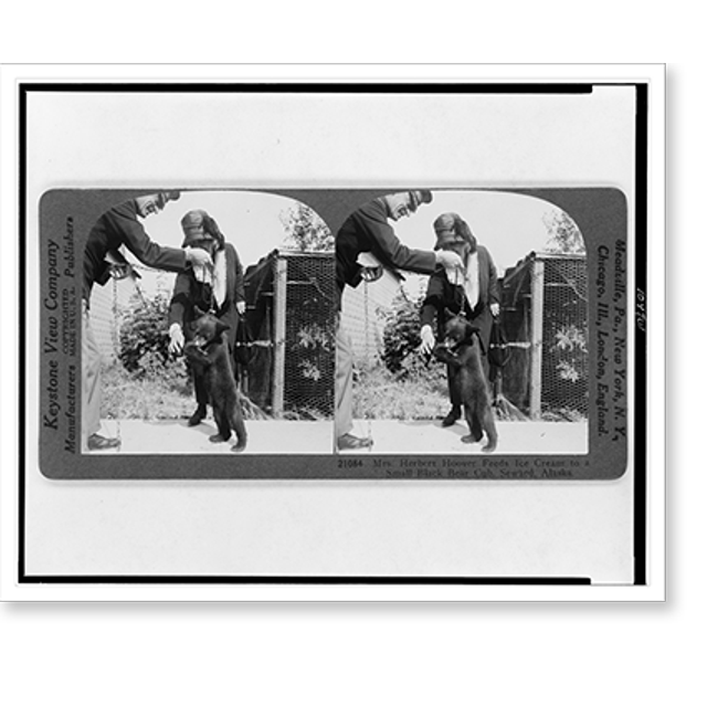 Historic Print, Mrs. Herbert Hoover feeds ice cream to a small black bear cub, Seward, Alaska