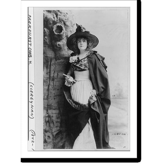 Historic Print, Mrs. James Brown Potter, 1859-1936 - 4, 18" x 24"