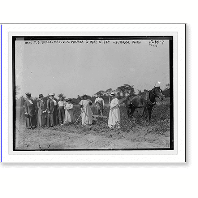 Historic Print, Mrs. T.B. Wells, Mrs. D.A. Palmer & Mary G. Hay
