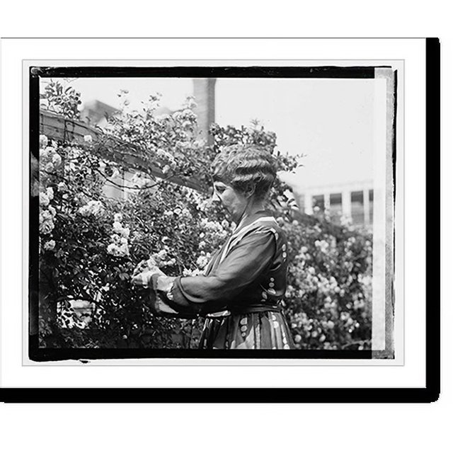 Historic Print, Mrs. Warren G. Harding 2, 16" x 20"