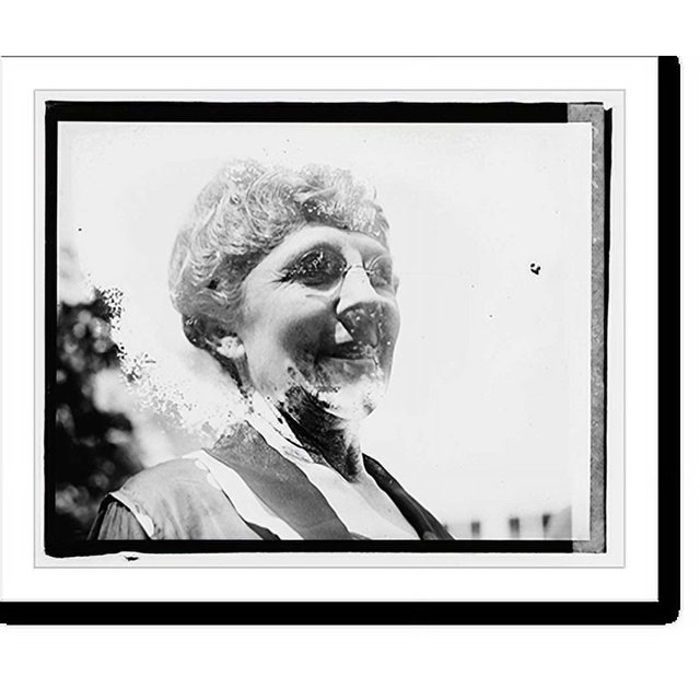 Historic Print, Mrs. Warren G. Harding 7, 16" x 20"