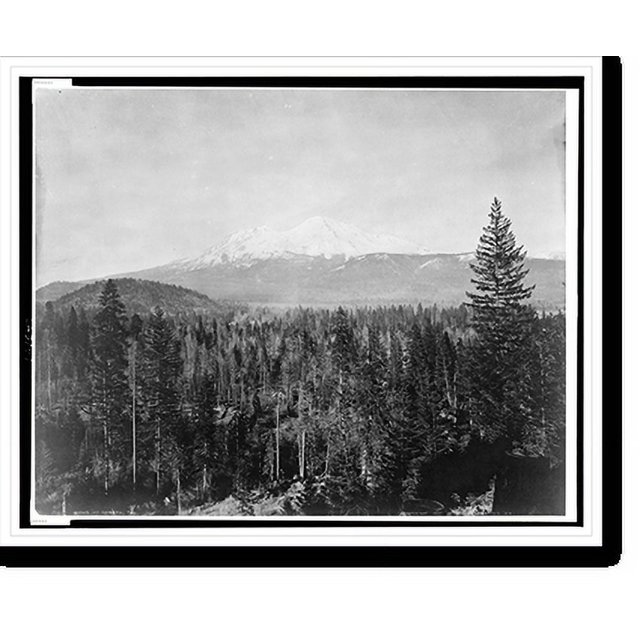 Historic Print, Mt. Shasta, Cal., 16" x 20"