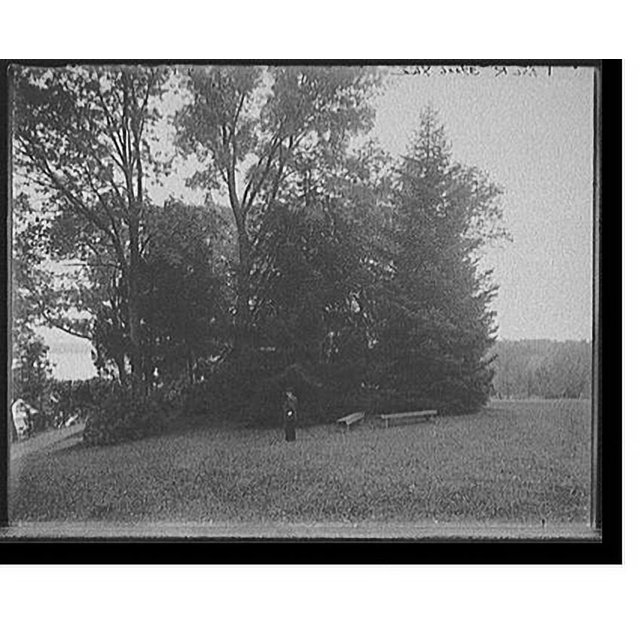 Historic Print, [Mt. Vernon, Va., the mansion and grounds] 2, 16" x