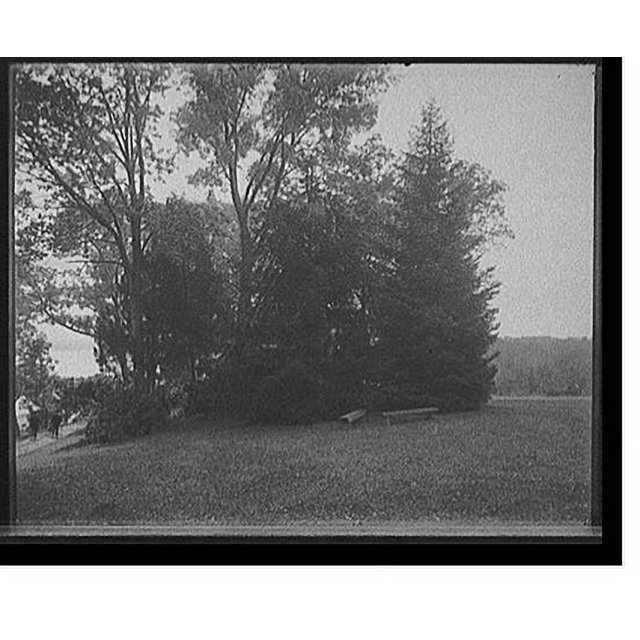 Historic Print, [Mt. Vernon, Va., the mansion and grounds] 3, 16" x