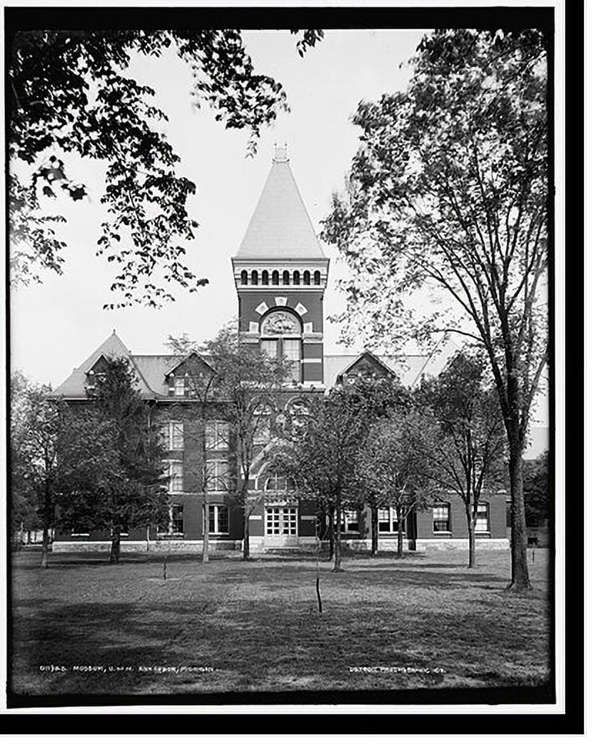 Historic Print, Museum, U. of M., Ann Arbor, Michigan, 16" x 20