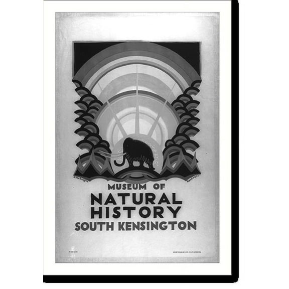 Historic Print, [Museum of Natural History, South Kensington], 18" x 24"