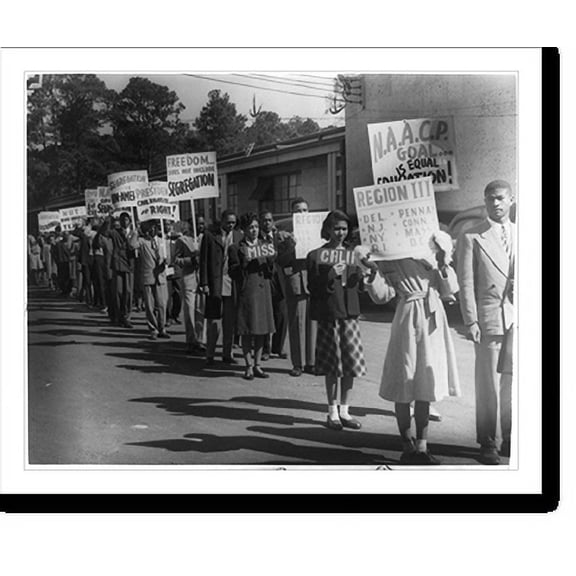 Historic Print, [NAACP youth and student members marching with signs protesting Texas segregation laws, Houston, Texas], 18" x 24"