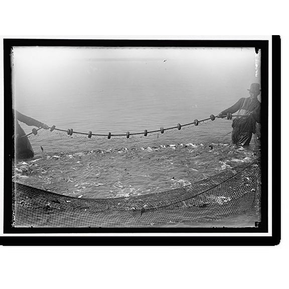 Historic Print, NET FISHING - 2, 16" x 20"