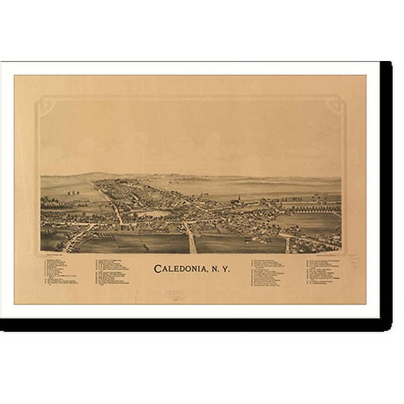 Historic Print, NY Caledonia 1892 MAP, 18" x 24"