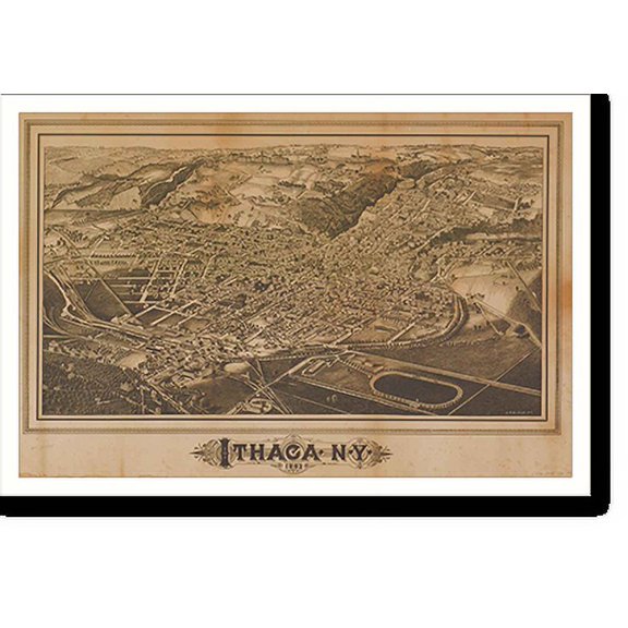 Historic Print, NY Ithaca 1882 MAP, 16" x 20"