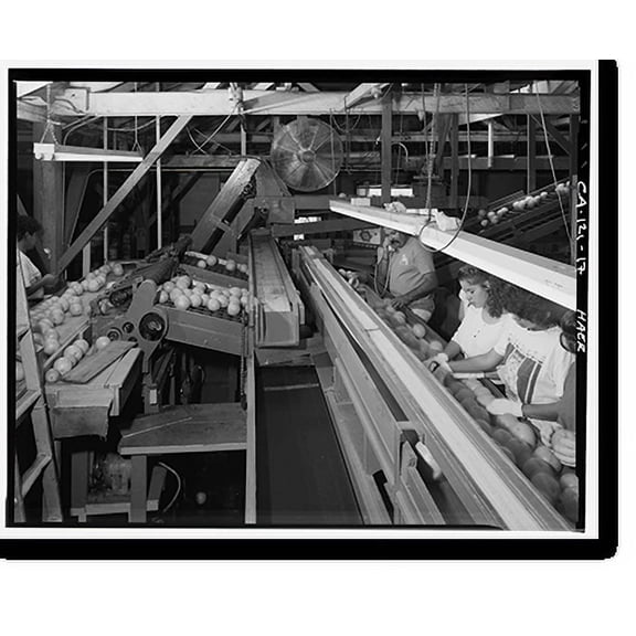 Historic Print, National Orange Company Packing House, 3604 Commerce Street, Riverside, Riverside County, CA - 17, 18" x 24"