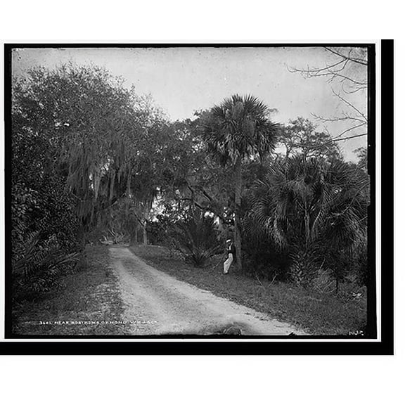 Historic Print, Near Bostrom's, Ormond, 16" x 20"