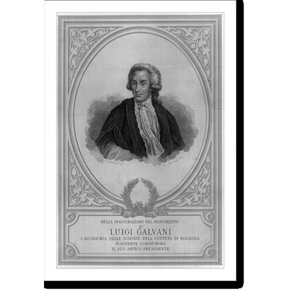 Historic Print, Nella inaugurazione del monumento a Luigi Galvani, l'Accademia delle Scieinze dell'Istituto di Bologna.F. Spagnoli, dis. ; A. Marchi, inc., 16" x 20"