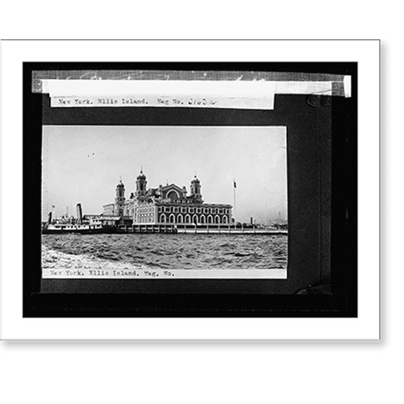 Historic Print, New York, Ellis Island, 16" x 20"