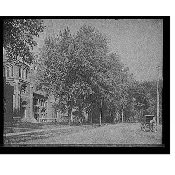 Historic Print, Oak St., north from Methodist church, Plattsburgh, N.Y., 16" x 20"