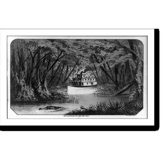 Historic Print, Ocklawaha River by day, 18" x 24"