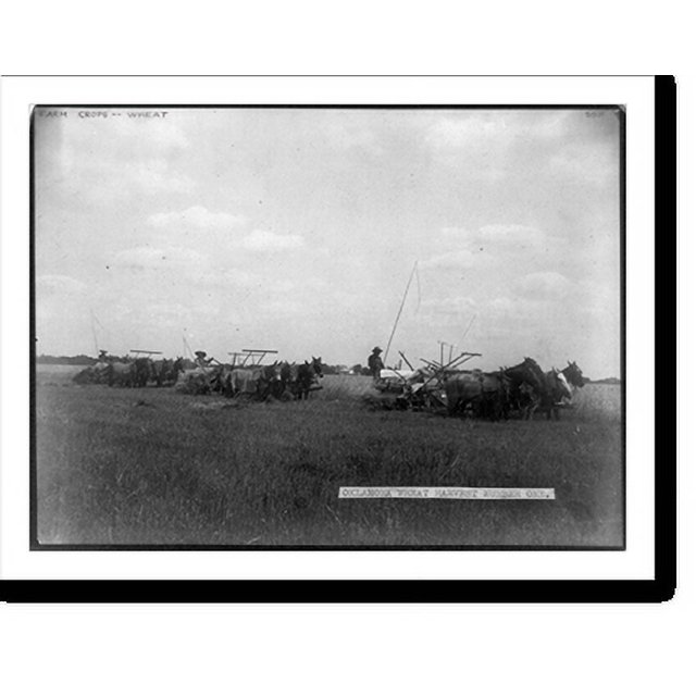 Historic Print, Oklahoma wheat harvest number one, 16" x 20"