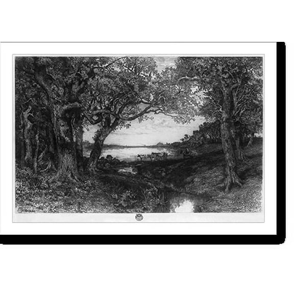Historic Print, [Old oak trees].MN Moran., 18" x 24"