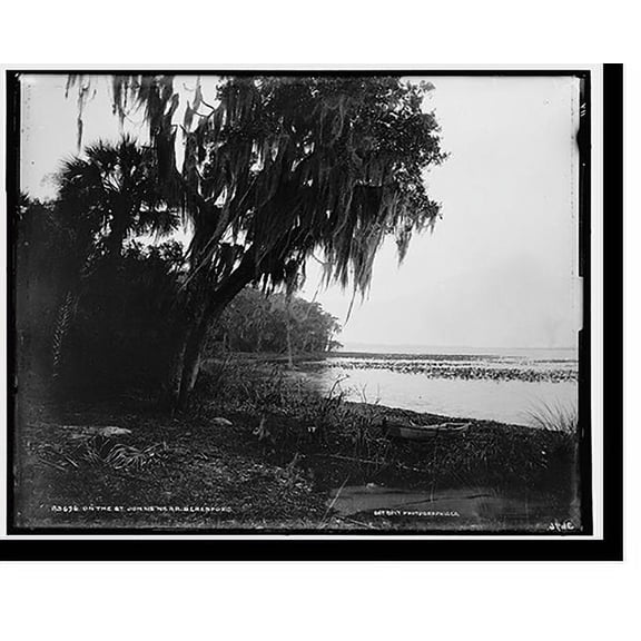 Historic Print, On the St. Johns near Beresford, 18" x 24"