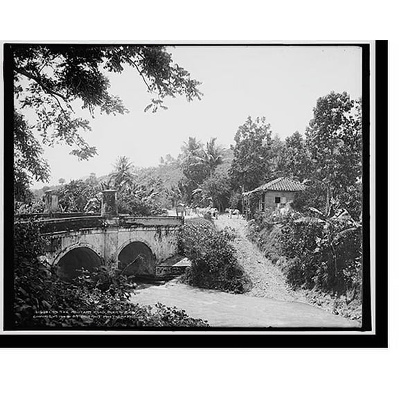 Historic Print, On the military road, Puerto Rico, 16" x 20"