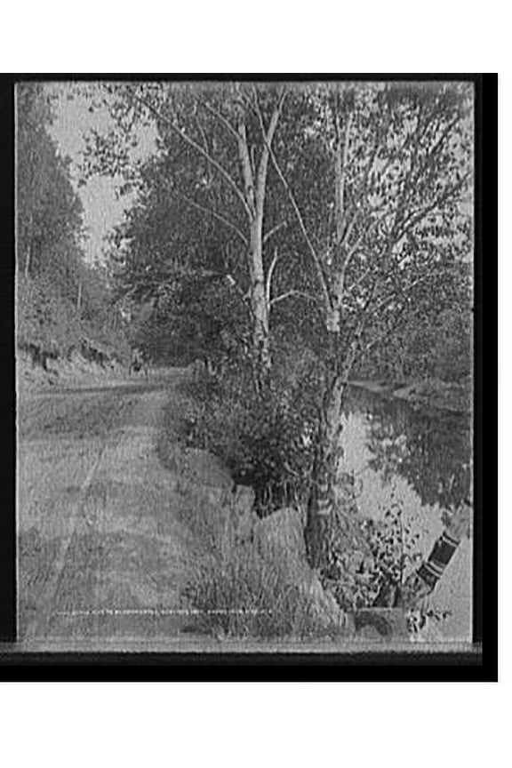 Historic Print, On the road to Bloomingdale, Saranac Lake, Adirondack Mts., N.Y., 16" x 20"