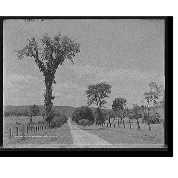 Historic Print, On the road to Stockbridge, Lenox, Mass., 18" x 24"