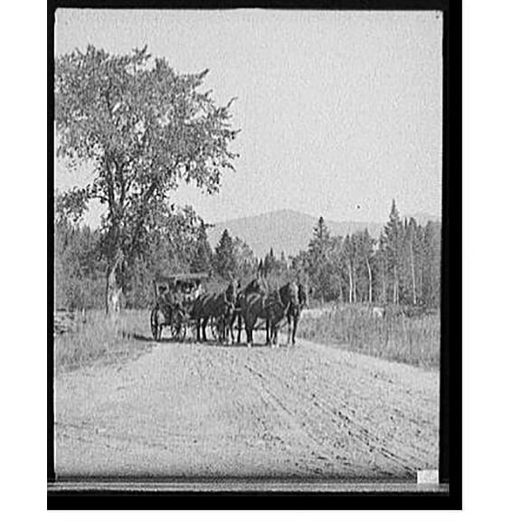 Historic Print, [On the road to base of Mt. Washington, White Mts.,N.H.], 16" x 20"