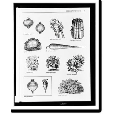 Historic Print, [Onions, swiss chard, asparagus, cauliflower, carrot, lettuce, collard greens, artichokes, beets, and parsley], 16" x 20"