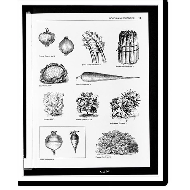 Historic Print, [Onions, swiss chard, asparagus, cauliflower, carrot
