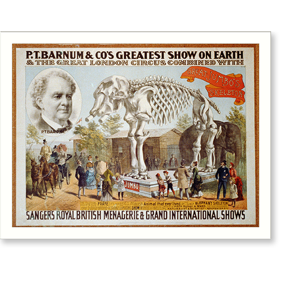 Historic Print, P.T. Barnum & Co's Greatest Show on Earth and The Great London Circus combined with Sanger's Royal British Menagerie. Great Jumbo's Skeleton, 16" x 20"