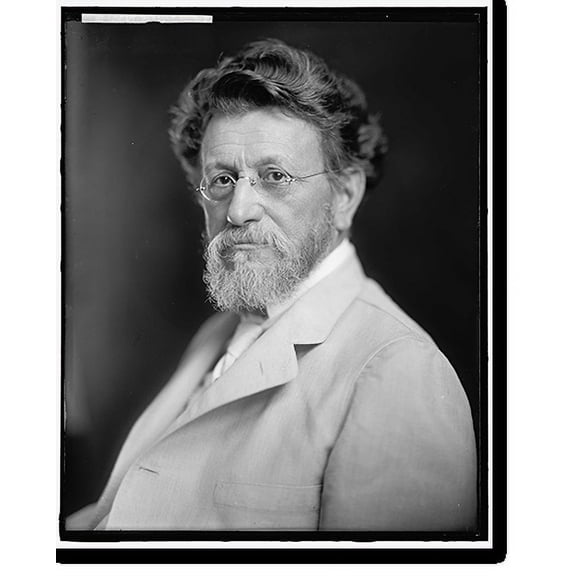Historic Print, POST, LOUIS F. - 2, 16" x 20"