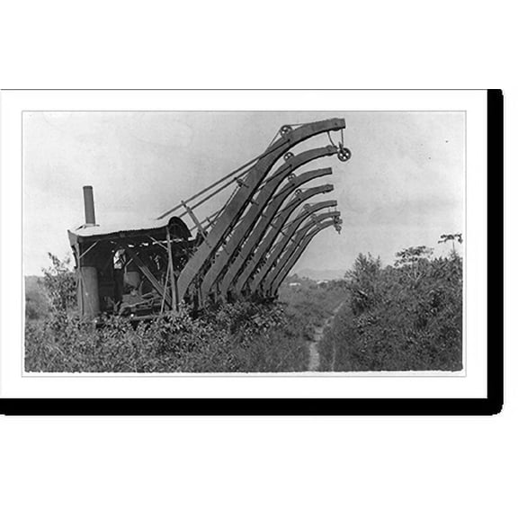 Historic Print, [Panama Canal construction]: Old discarded derricks left over from the French regime, 16" x 20"