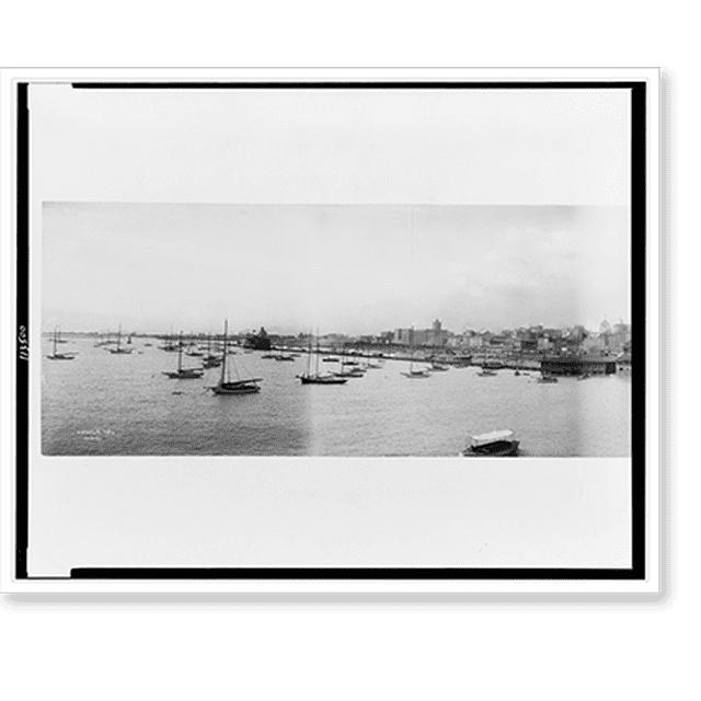 Historic Print, [Panorama photograph of Chicago], 16" x 20"