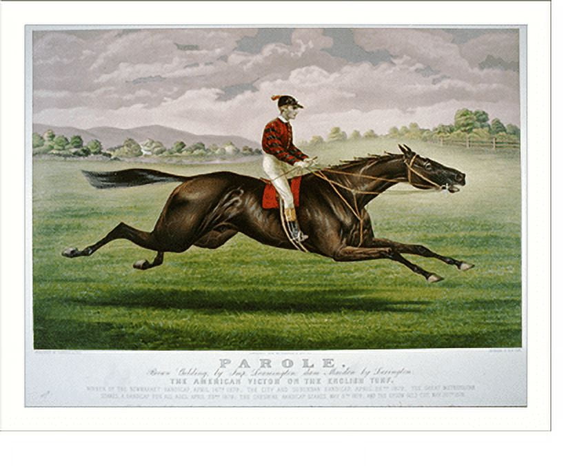 Historic Print, Parole brown gelding, by Imp. Leamington, dam Maiden by Lexington 2, 16" x 20