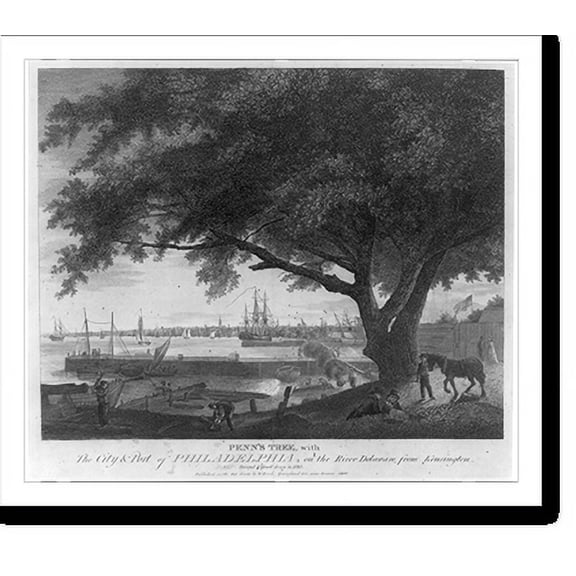 Historic Print, Penn's tree with city & port of Philadelphia, on the River Delaware from Kensington. Decayed and blow'd down in 1810, 16" x 20"