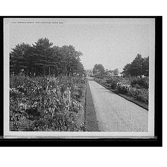 Historic Print, Perennial garden, High Lawn House, Lenox, Mass., 18" x 24"