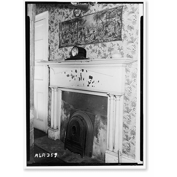 Historic Print, Perry House, North Pine & Tuscaloosa Streets, Florence, Lauderdale County, AL - 5, 16" x 20"