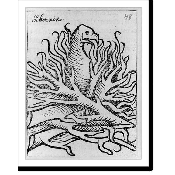 Historic Print, Phoenix, 18" x 24"