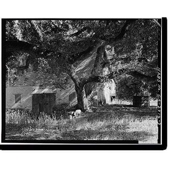 Historic Print, Picchetti Winery, 13100 Montebello Road, Cupertino, Santa Clara County, CA - 3, 18" x 24"