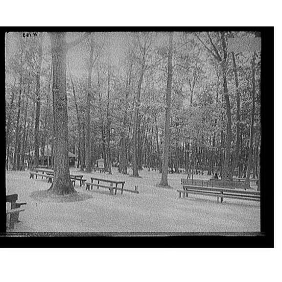 Historic Print, [Picnic grounds, Long Branch Park, Syracuse, N.Y.], 18" x 24"