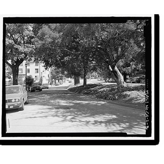 Historic Print, Piedmont Way & the Berkeley Property Tract, East of College Avenue between Dwight Way & U.C. M, Berkeley, Alameda County, CA - 3, 18" x 24"