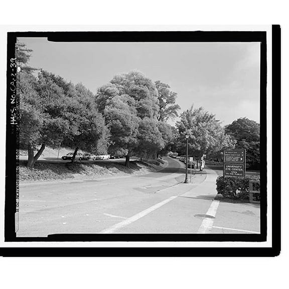 Historic Print, Piedmont Way & the Berkeley Property Tract, East of College Avenue between Dwight Way & U.C. M, Berkeley, Alameda County, CA - 39, 18" x 24"